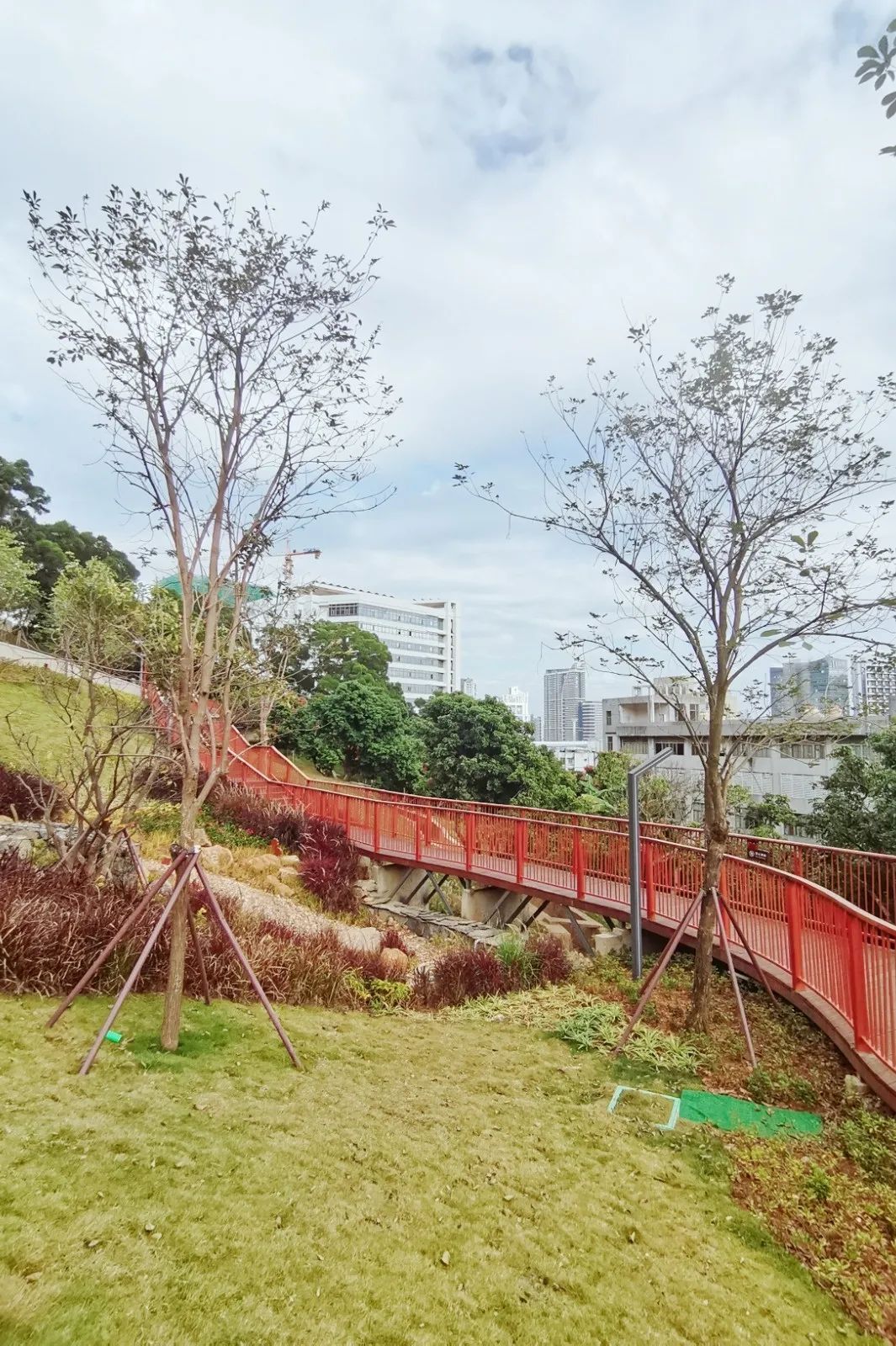 隐秘在半山之上的沙头角公园,可谓是盐田人的宝藏公园,栈道,跑道,一应