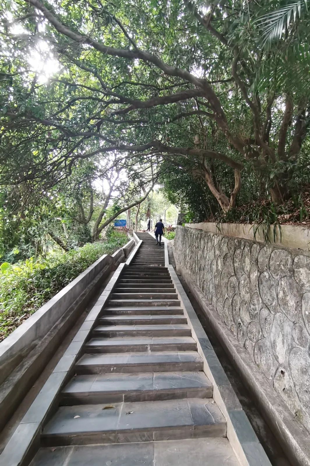 呈东西长条形分布,如一条彩色的丝带悬挂于半山腰,东侧与碧桐道相连