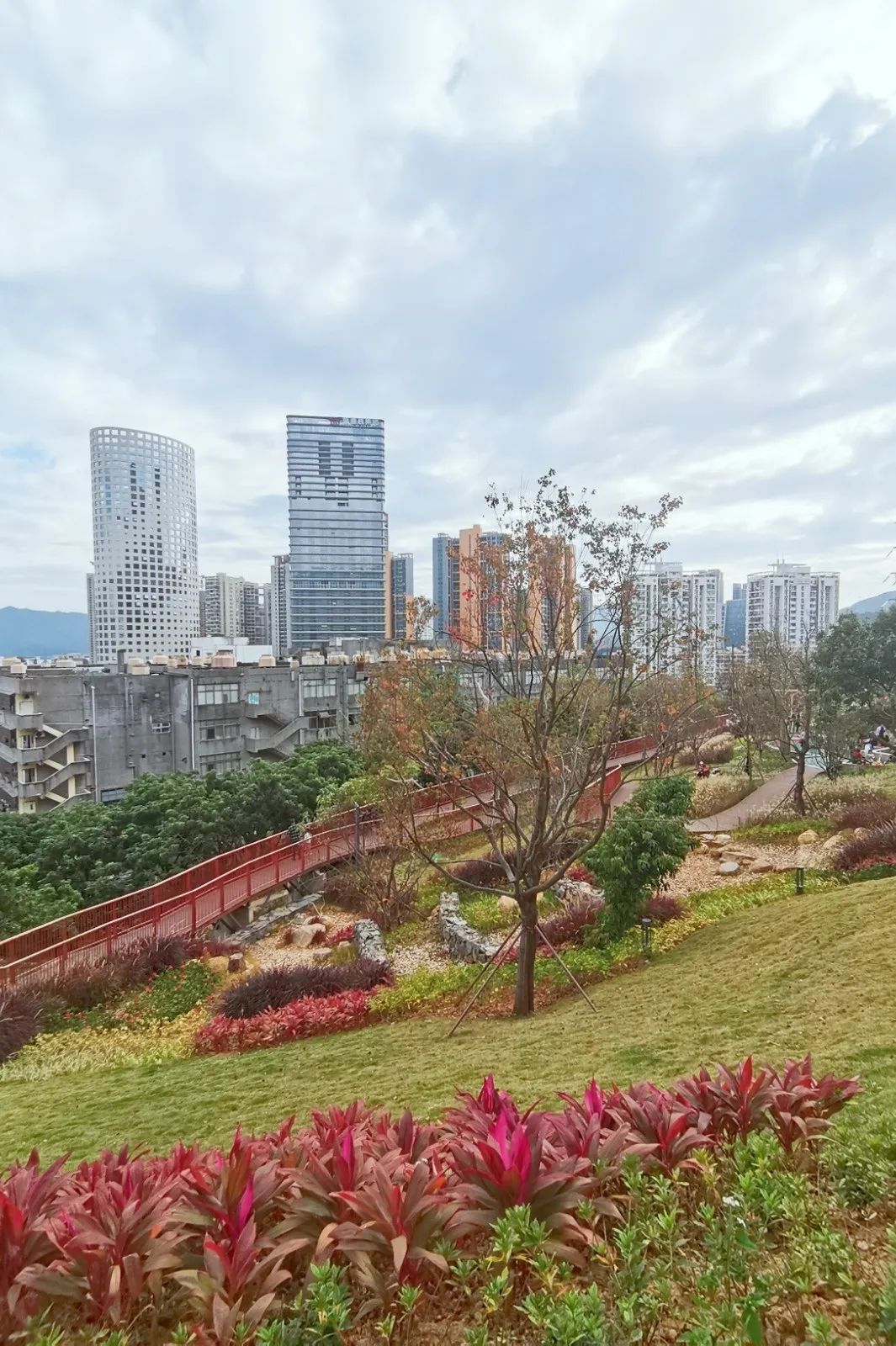 清晨沿着沙头角公园中的绿道一路慢跑,微风吹拂,深深浅浅的绿意荡漾在