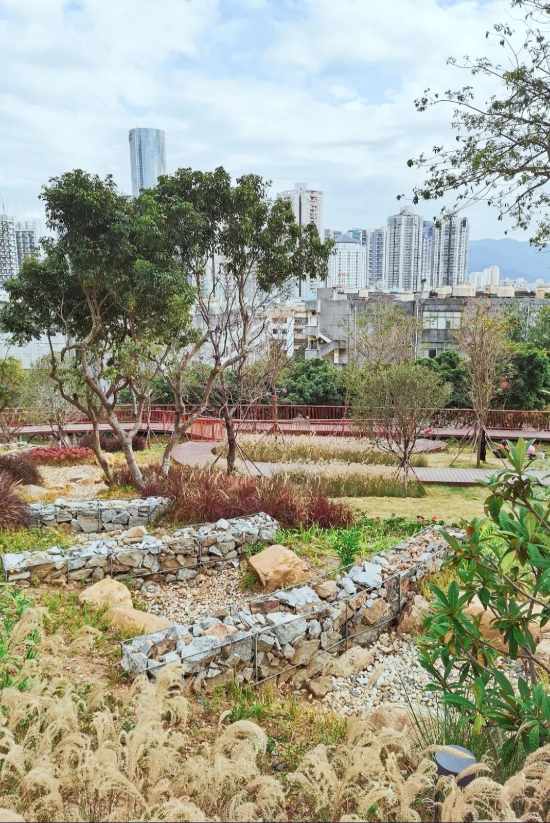 「沙头角公园」地址丨深圳市盐田区碧桐道门票丨免费交通丨①乘坐地铁