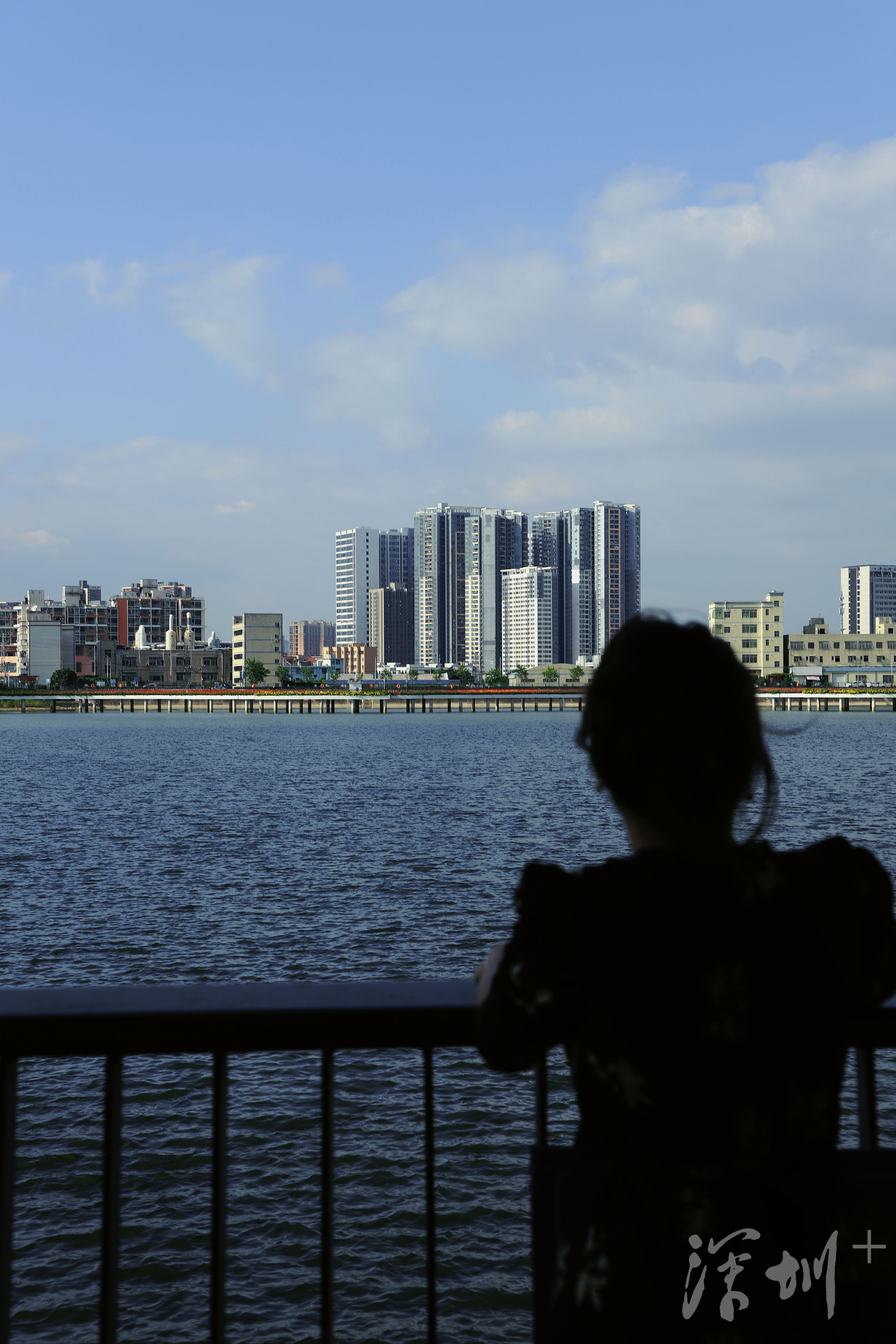 深圳image | 打卡石围公园,可以搭帐篷的湿地公园_深圳plus