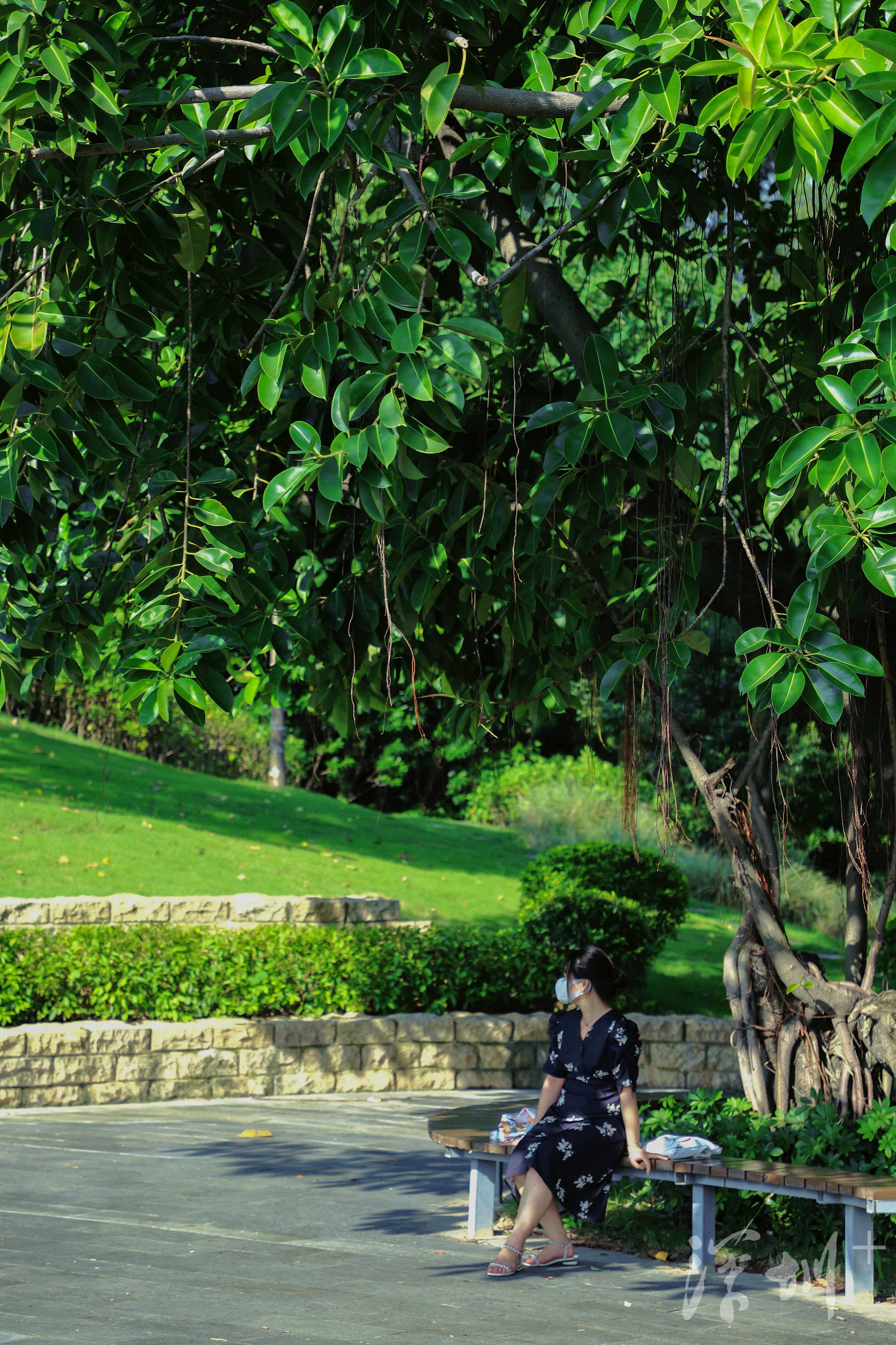 深圳image | 打卡石围公园,可以搭帐篷的湿地公园_深圳plus