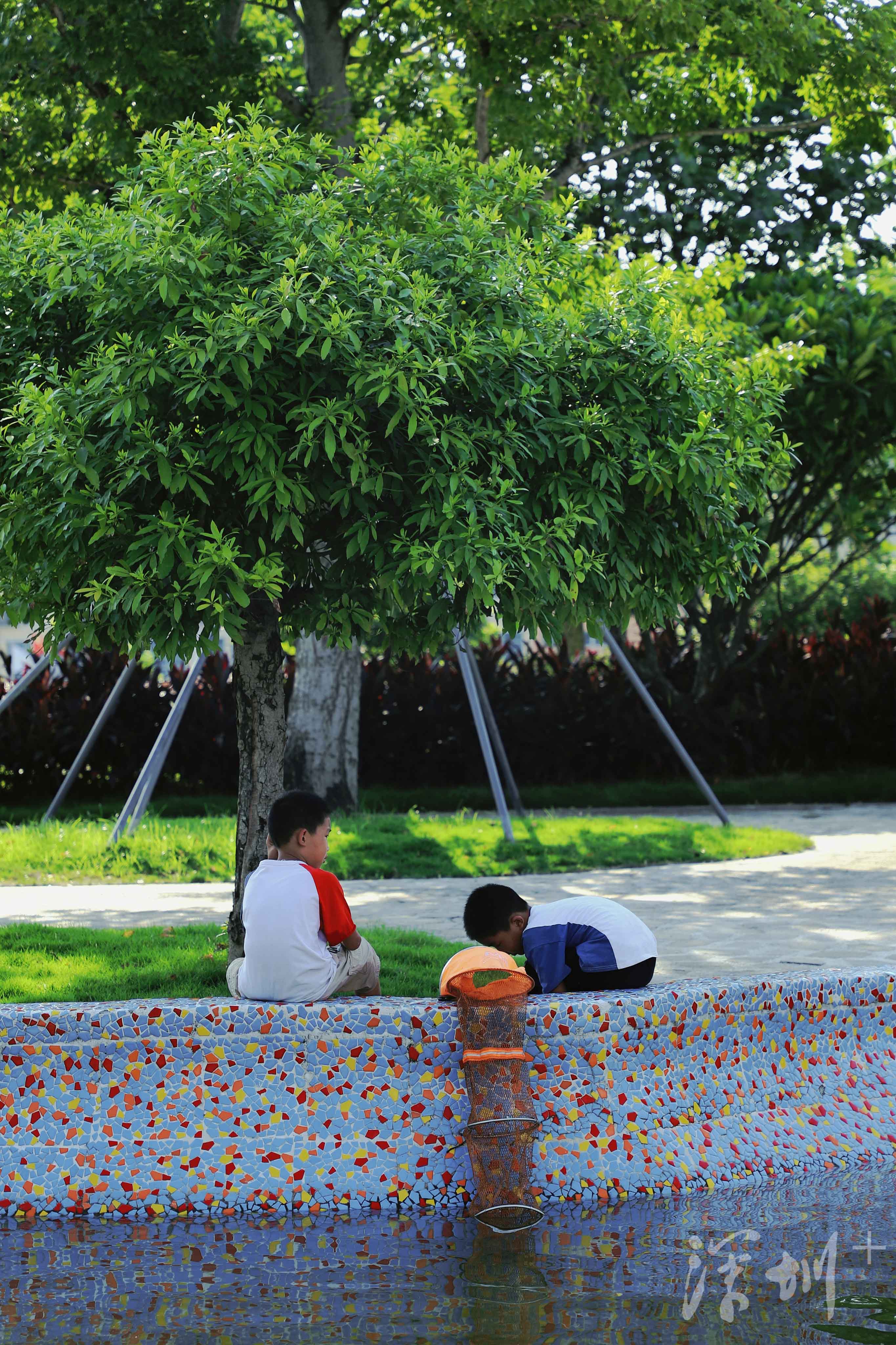 深圳image | 打卡石围公园,可以搭帐篷的湿地公园_深圳plus