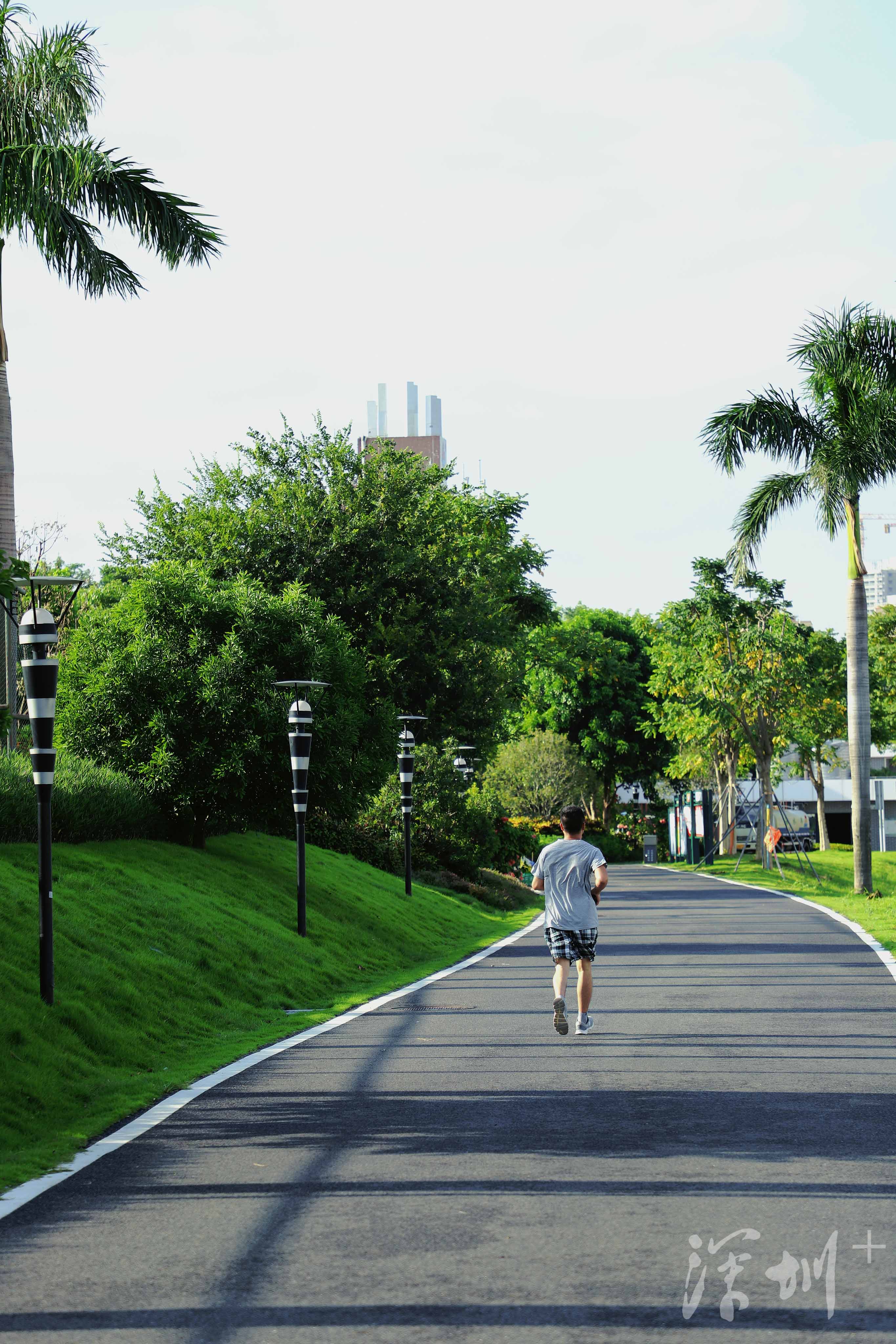 深圳image | 打卡石围公园,可以搭帐篷的湿地公园_深圳plus