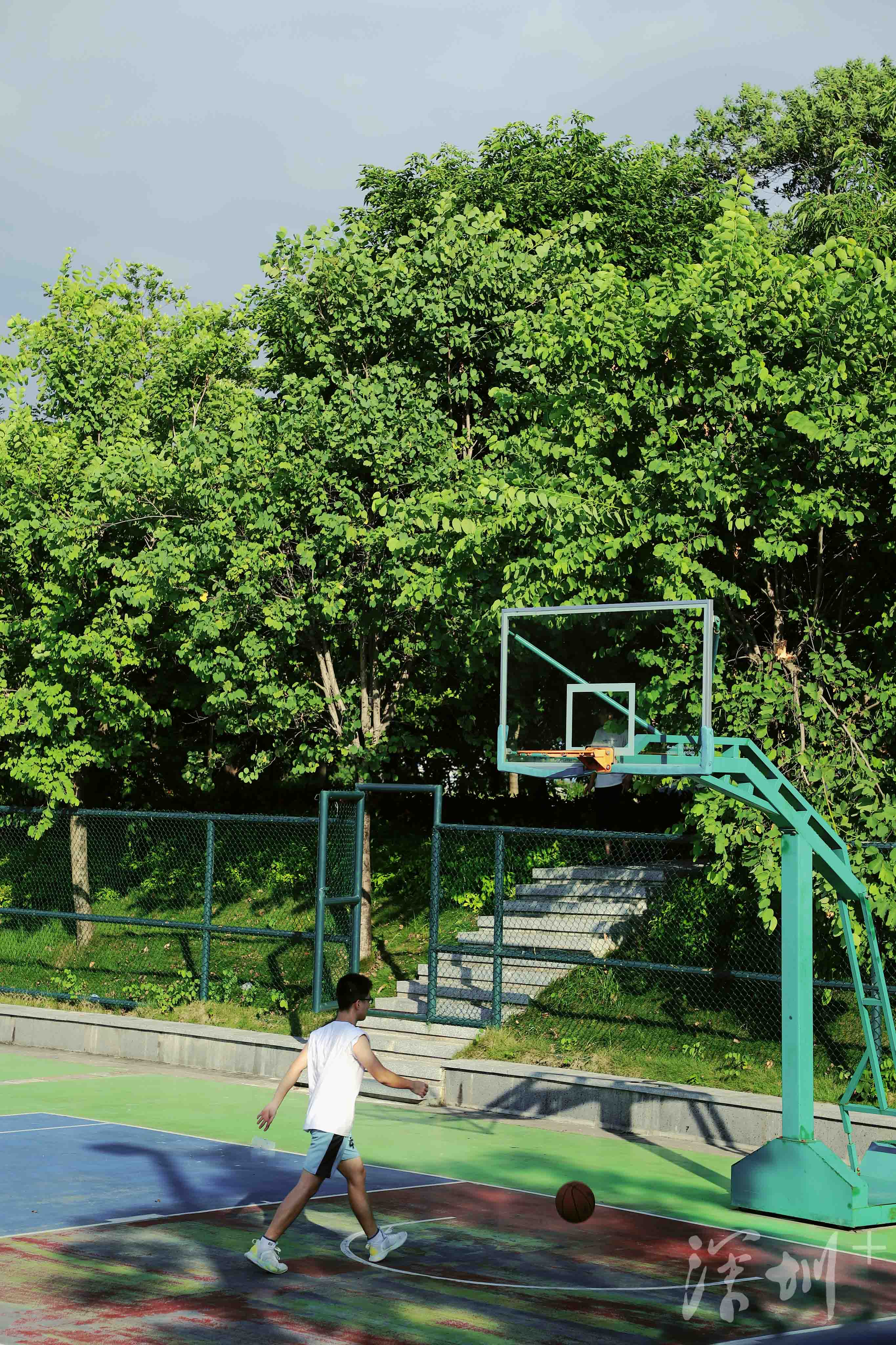 深圳image | 打卡石围公园,可以搭帐篷的湿地公园_深圳plus