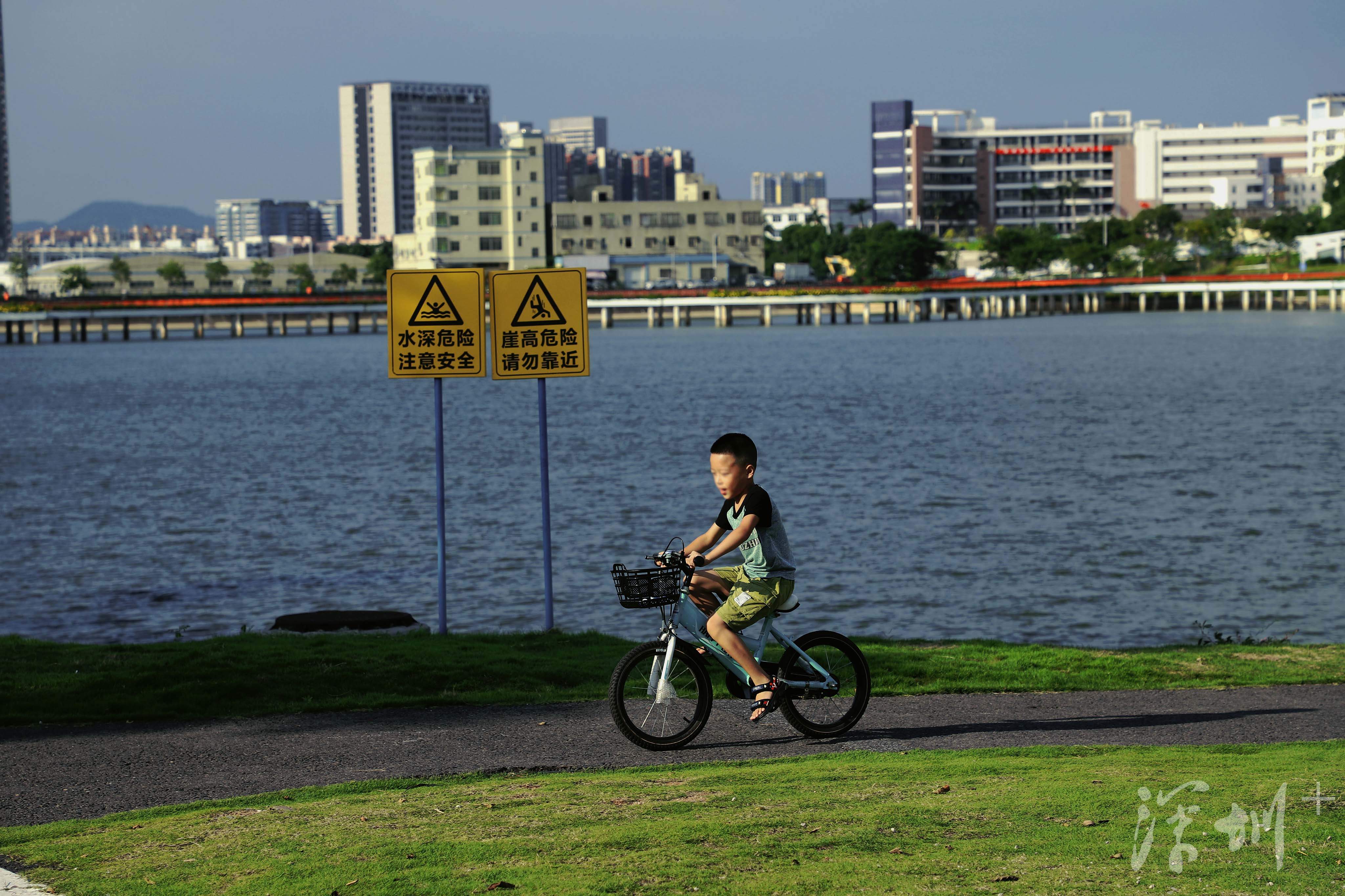 深圳image | 打卡石围公园,可以搭帐篷的湿地公园_深圳plus