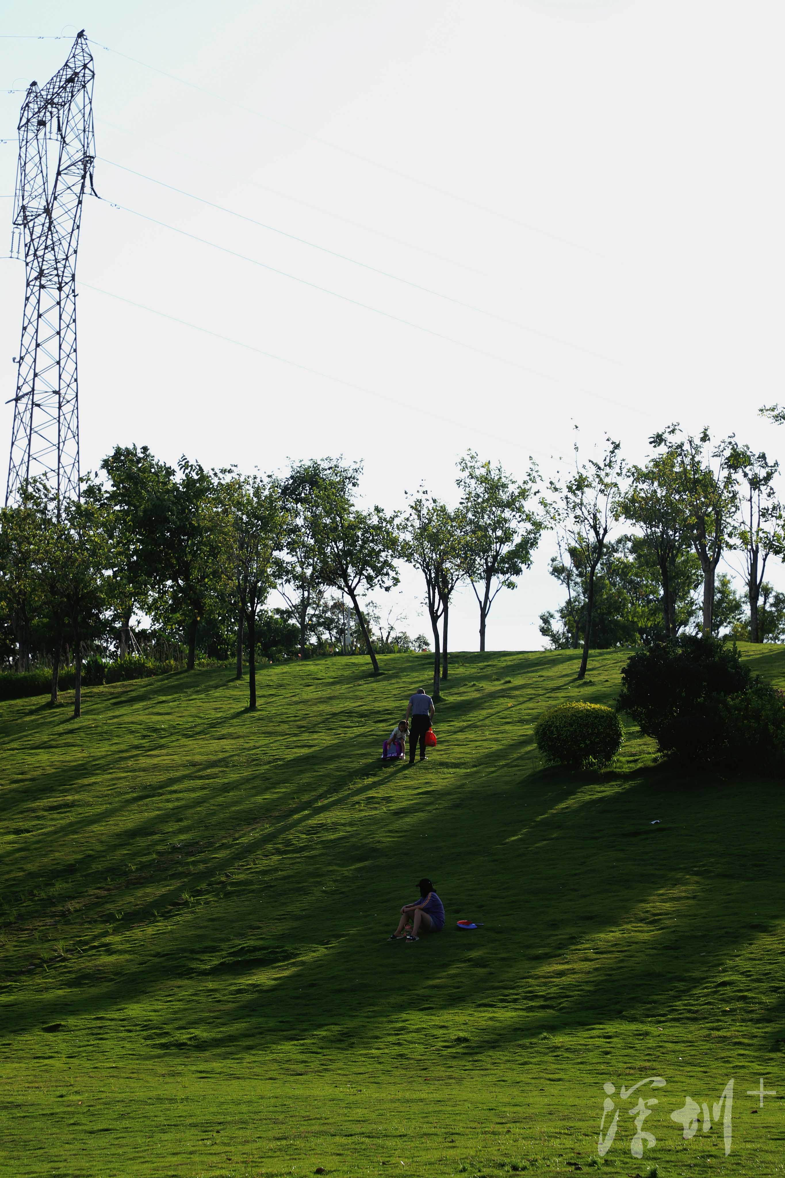 深圳image | 打卡石围公园,可以搭帐篷的湿地公园_深圳plus