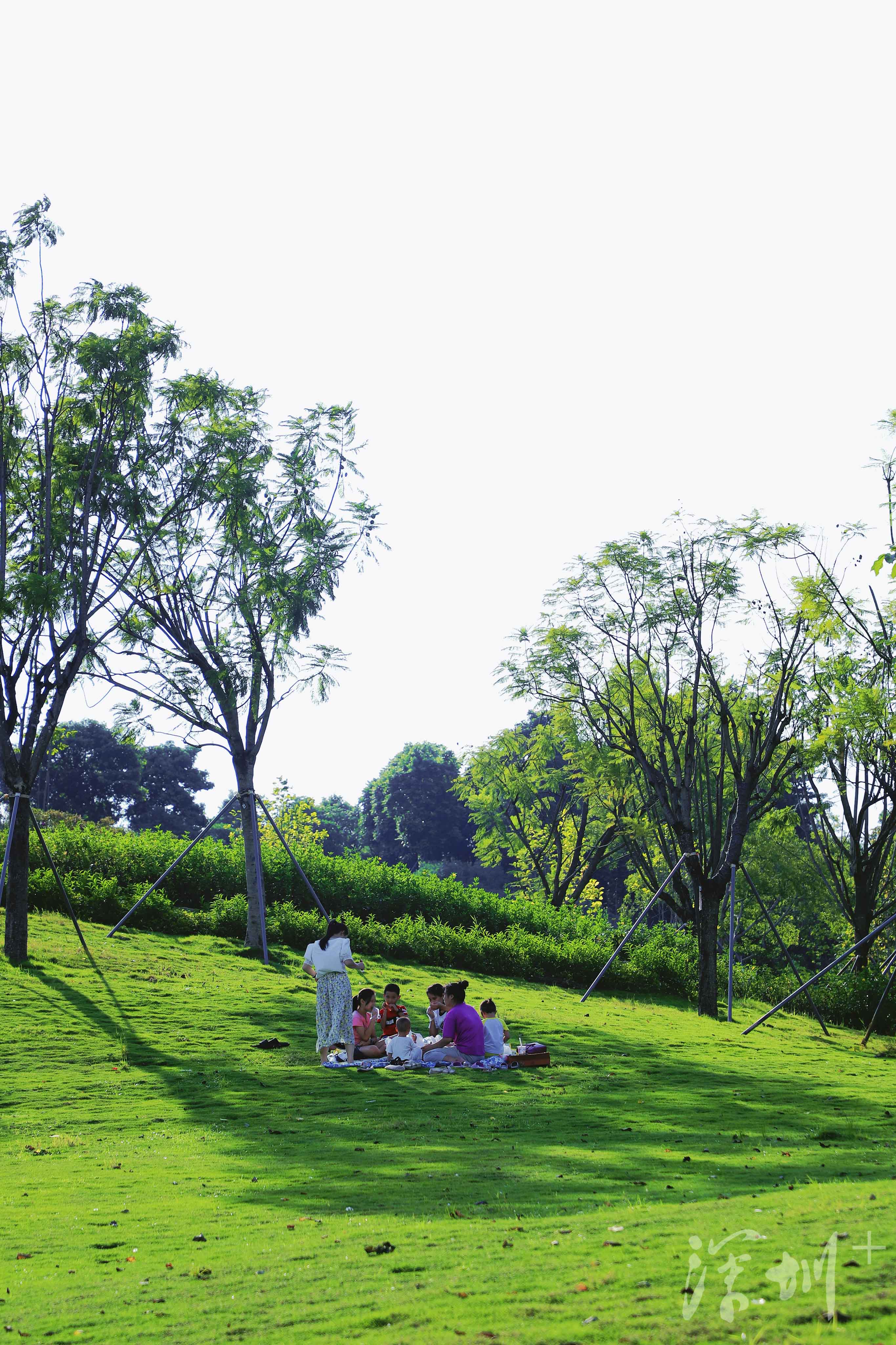 深圳image | 打卡石围公园,可以搭帐篷的湿地公园_深圳plus