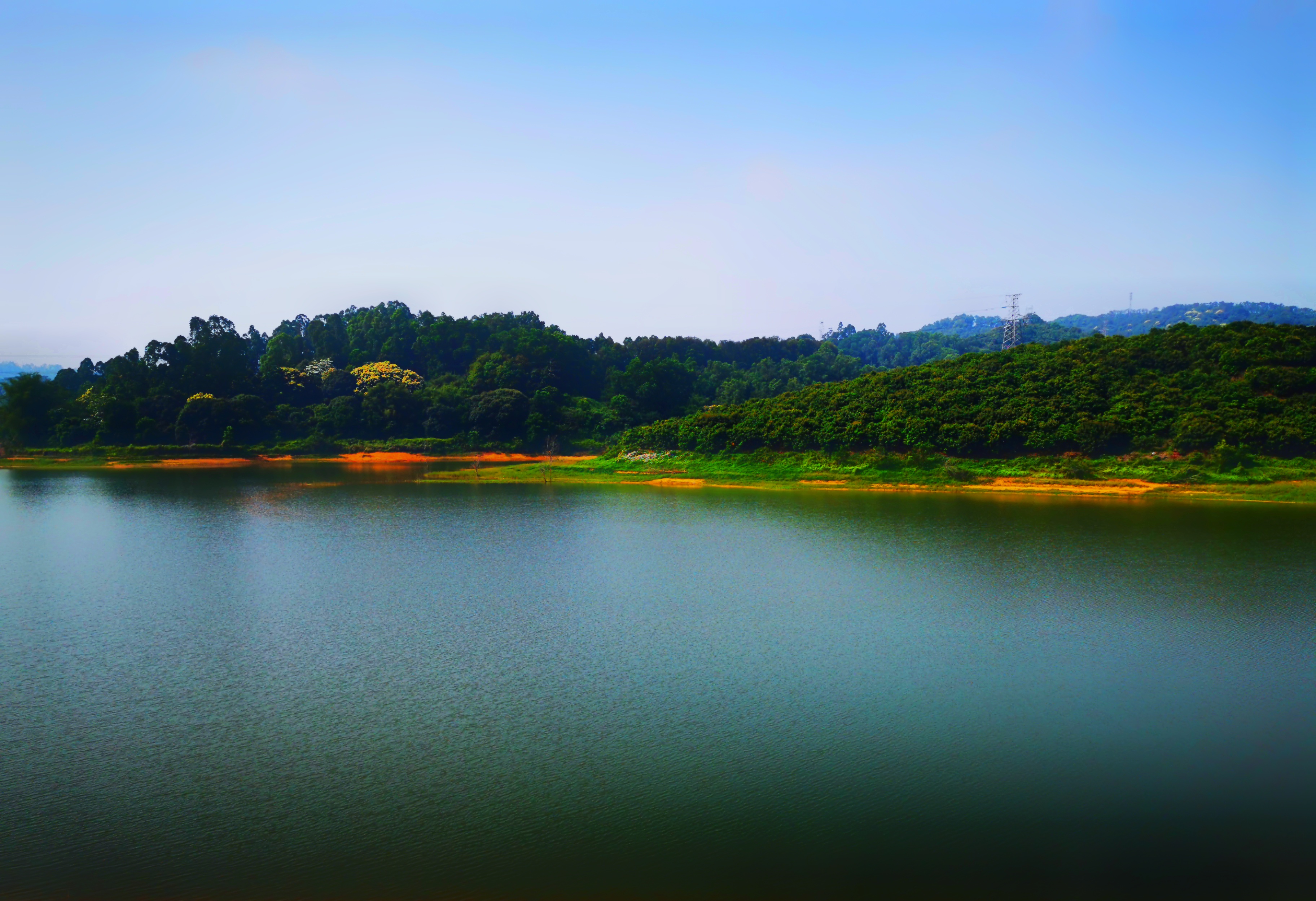 快来打卡龙华水库 拥抱"醉美"山水风光_深圳plus