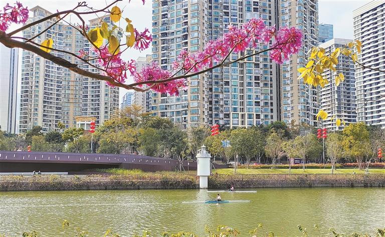堆朱風　花卉 花卉— Chung Chen Sun