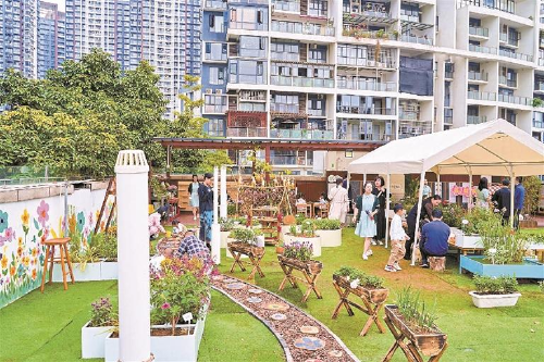 深圳目前已建成超480个共建花园  口袋公园成市民社交休闲美丽“新宠”