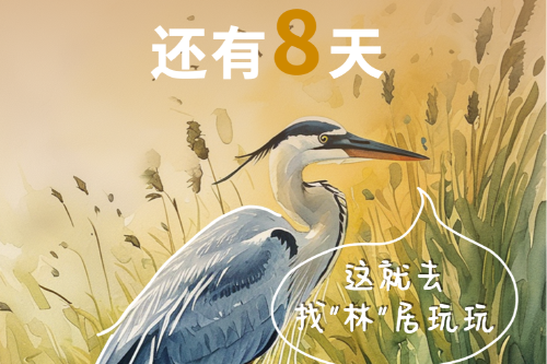 还有8天！遇见神奇动物在Lín里
