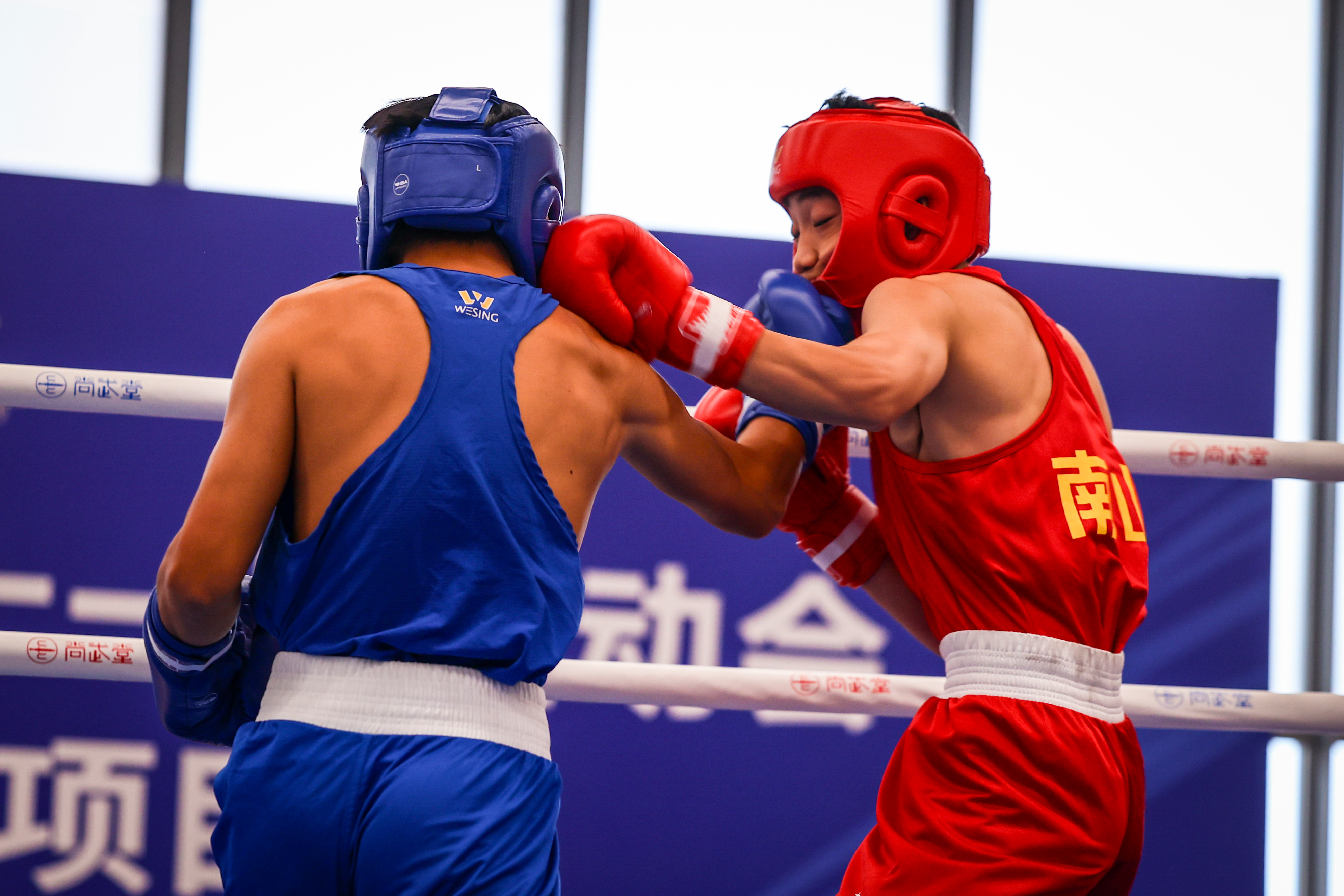 市运会青少年体育组拳击决出名次:人数翻倍竞争"拳"面升级