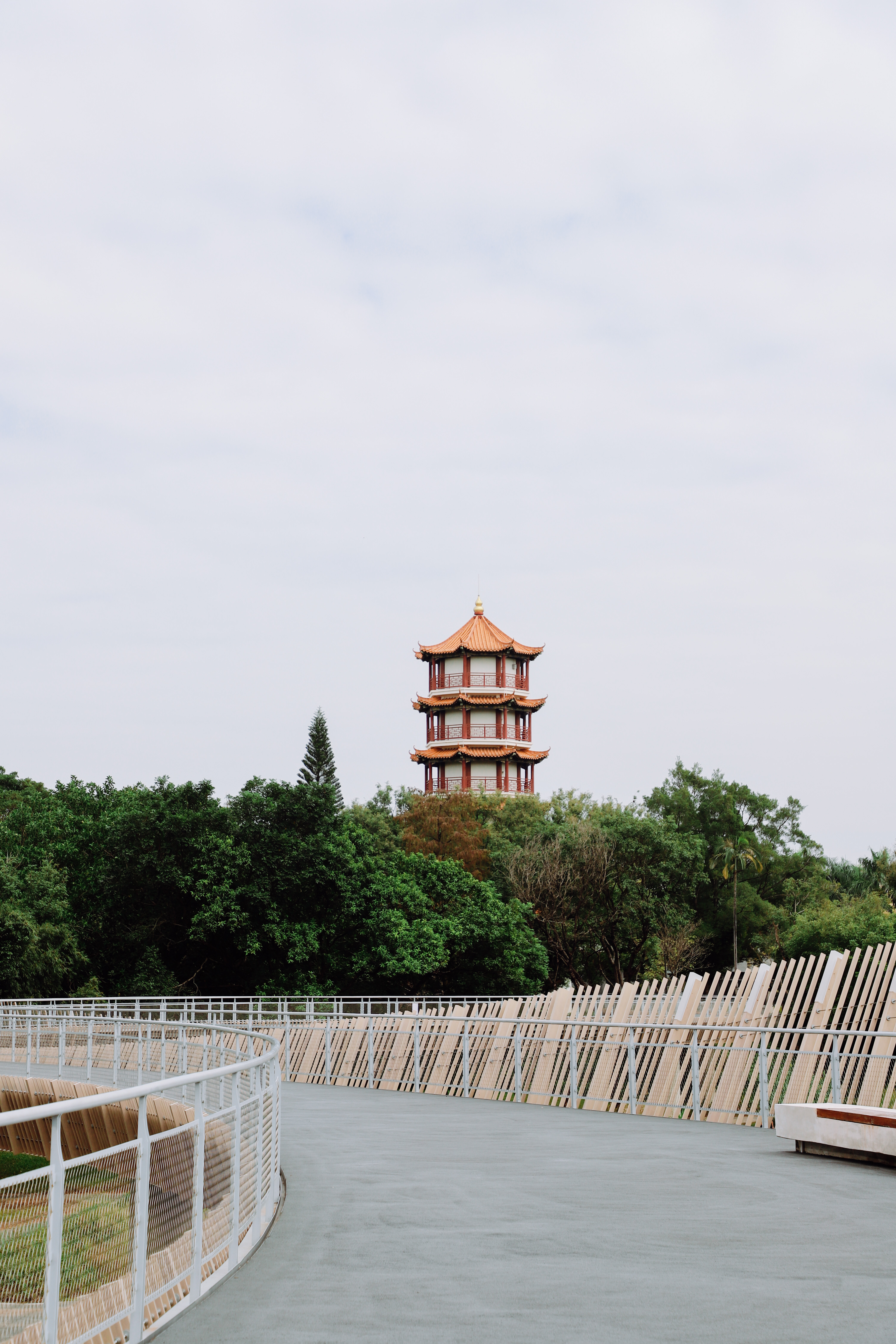 假期不知道去哪玩,那就来龙园