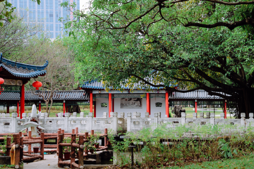 深圳IMAGE  | 假期不知道去哪玩，那就来龙园