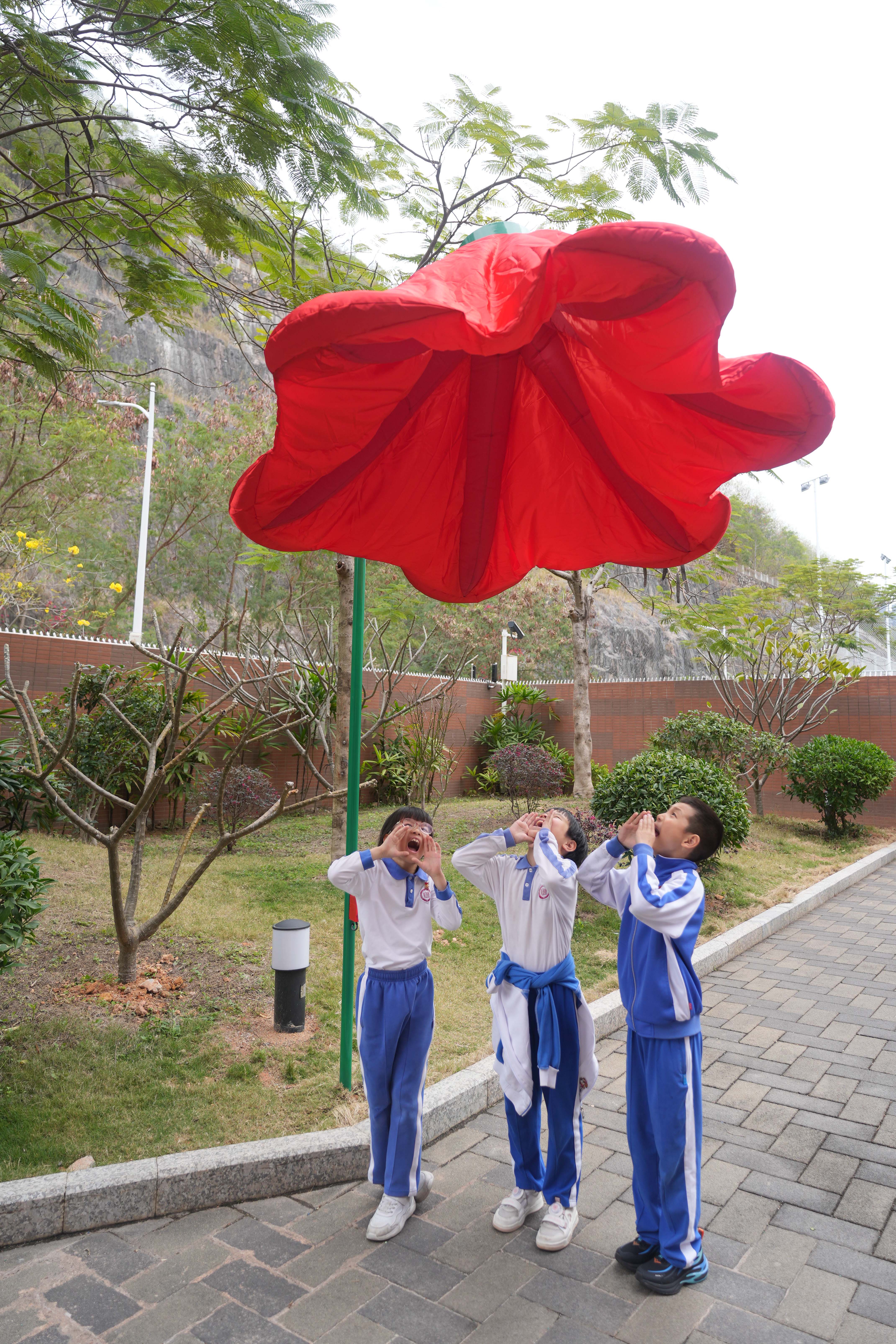 红岭深康有朵倾听学生心声的"大红花"