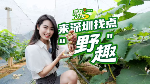【高高逛广东 打卡百千万】来深圳找点野趣