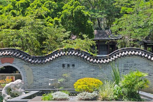 深圳ENJOY | 公园叹早茶！深圳公园玩法又上新啦