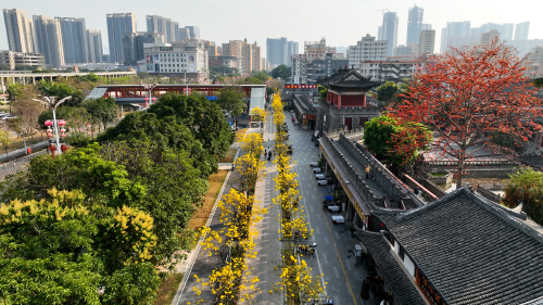 街力棒｜在宝安新桥，看半城山水半城产的新质跃升！新桥街道召开人大代表会议