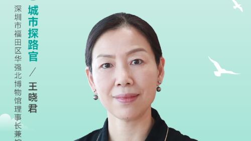 王晓君：探“一米柜台”，创见未来天地