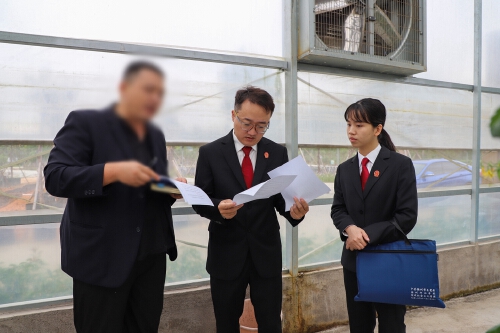深汕法院：法治引擎驱动营商环境优化升级