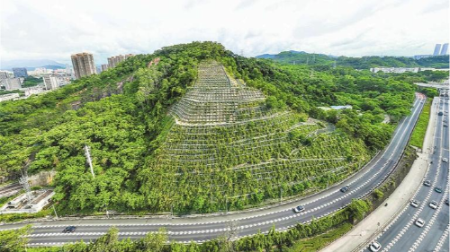 智能AI设备“上岗”，深圳道路管养提档升级