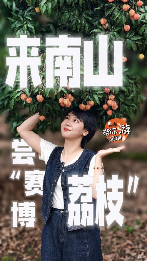 晶报带你游深圳丨来南山，尝“赛博荔枝”