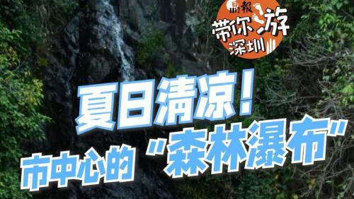 晶报带你游深圳 | 夏日清凉！市中心的“森林瀑布”